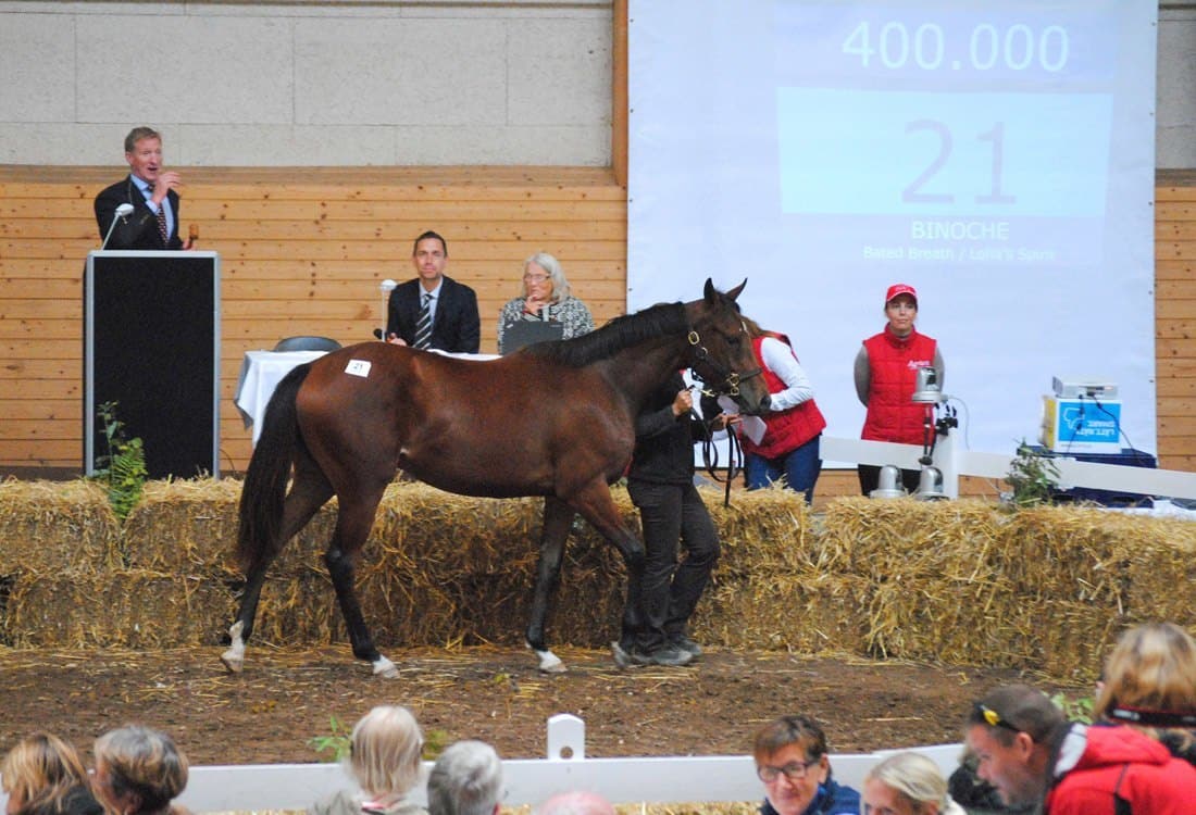 Lot 21, Binoche (Bated Breath / Lolla's Spirit) ropades in till Stall Pettersson för 400 000 kr. Foto: Amie Karlsson.