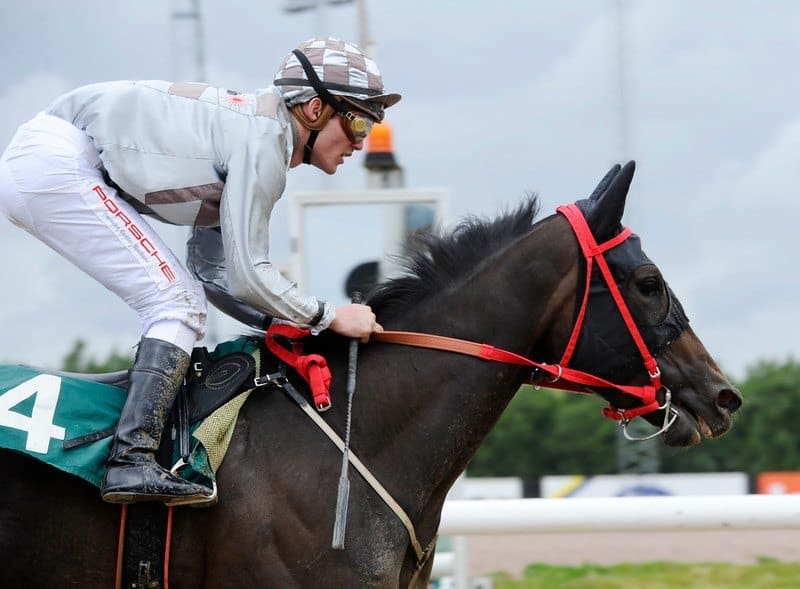 Wonderful Top Fuel er datter af Day To Shine. Foto: Stefan Olsson / Svensk Galopp.