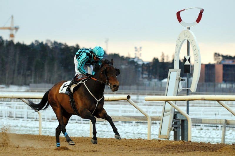 Outlaw och Per-Anders Gråberg vinner på Täby Galopp den 3 januari. Foto: Amie Karlsson/GalopSport