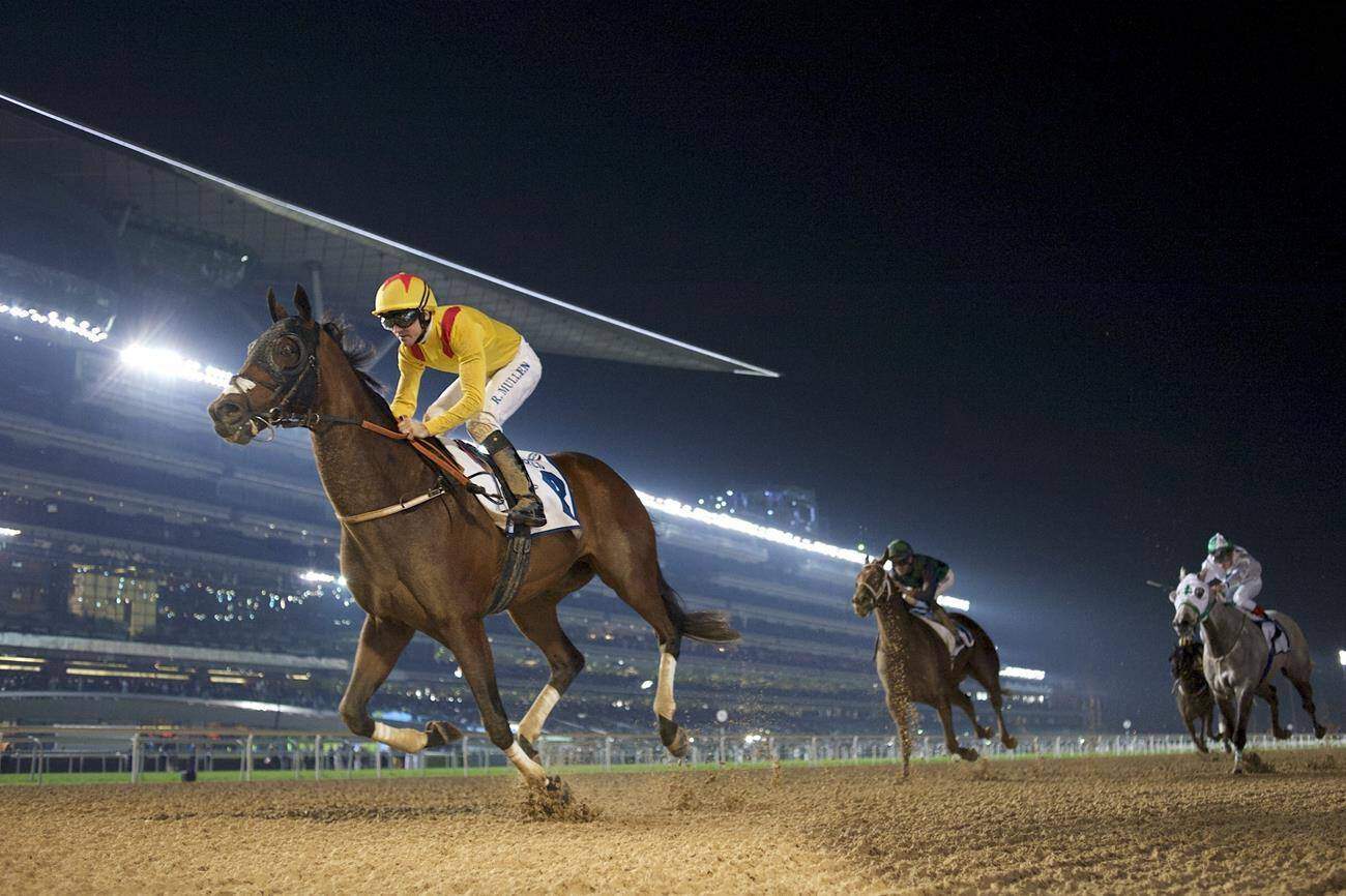 Reynaldothewizard vinder foran Cool Cowboy og Let'sgoforit. Foto: Andrew Watkins / Dubai Racing Club.
