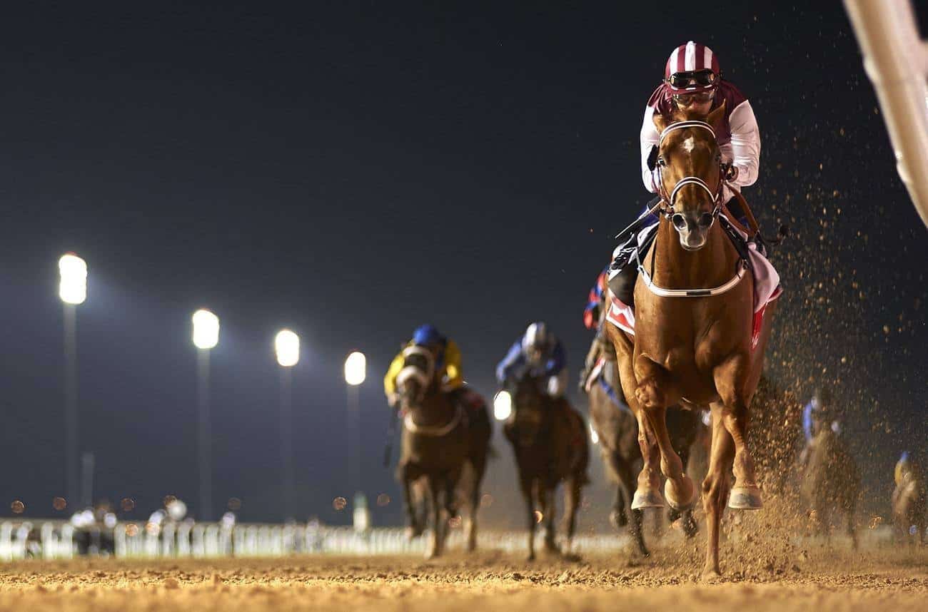 Special Fighter claims the Al Maktoum Challenge R3 and charts a course for the Dubai World Cup. Credit: Andrew Watkins.