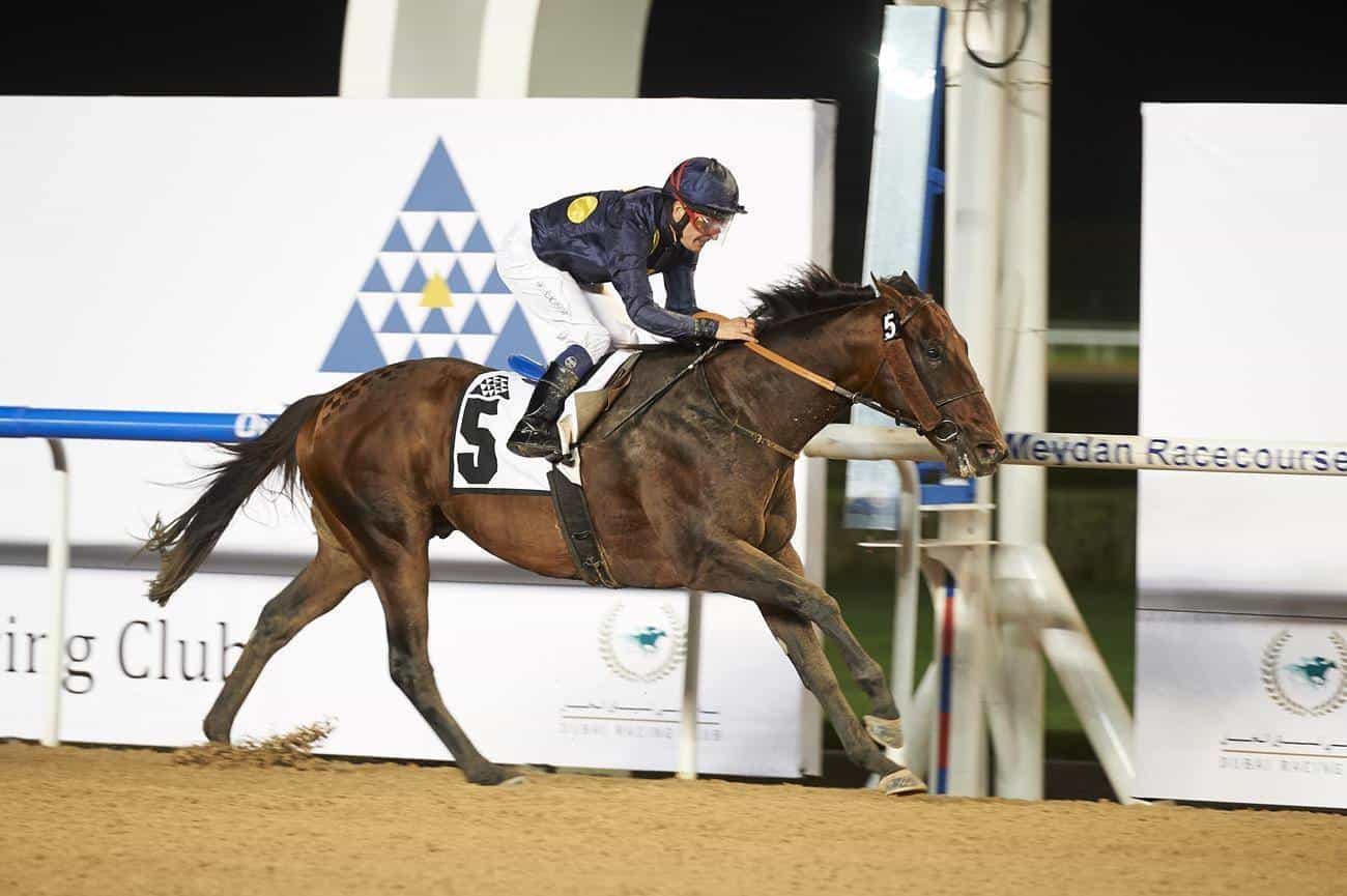Wayne Smith steers Stormadal to victory in the featured Asia Pacific Super Region Handicap for trainer, Ismael Mohammed Credit: Andrew Watkins.