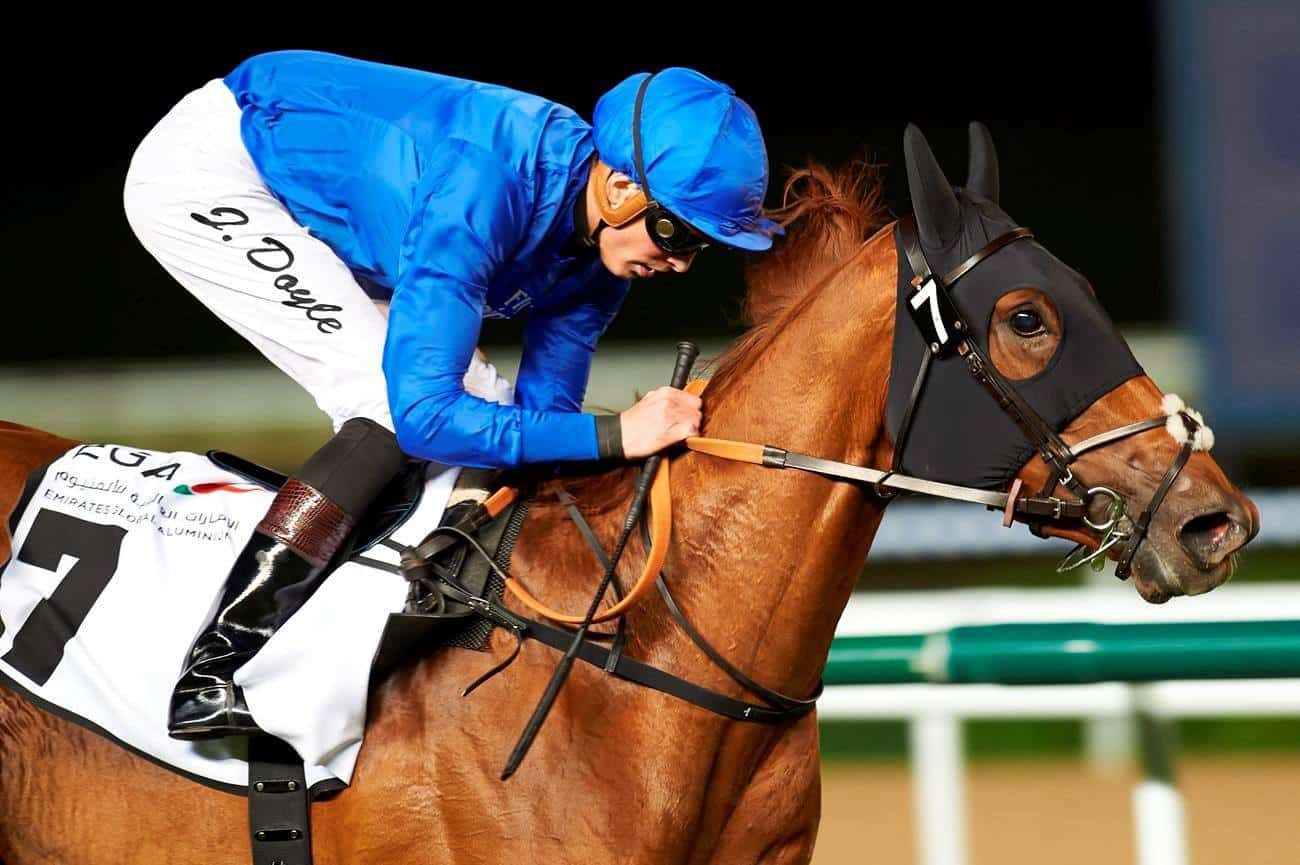 Group 2 Cape Verdi winner, Very Special will attempt to double up in the Group 2 Balanchine at Thursday's Dubai World Cup Carnival meeting. Credit: Andrew Watkins