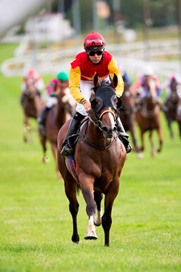Hongkong Emperor/Marcos Robaldo vinder på Øvrevoll i 2015. Hesten hedder nu Hongkong Winepro og trænes i Macau. Foto: Roger Svalsrød / Øvrevoll.
