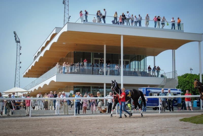Arabda i ledvolten inför Jockeyklubbens Stolöpning på Bro Park 160602. Foto: Amie Karlsson/GalopSport.
