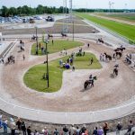 Ledvolten sedd från läktarbyggnadens tredje våning. Ekipagen i Bro Parks första amatörlöpning är på väg ut på banan. Foto: Amie Karlsson/GalopSport