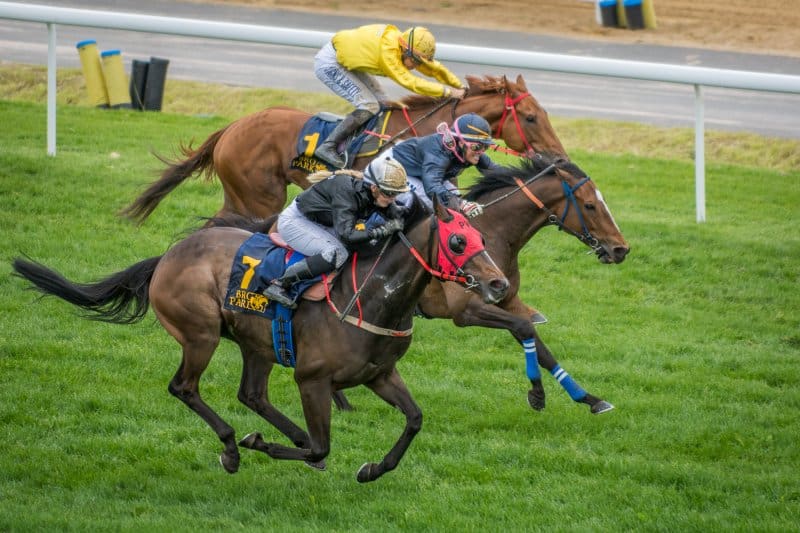 Dreams Cape och Chantal Sutherland-Kruse (mitten) avancerar mellan hästar och tar hem segern i jockeyturneringens tredje avdelning, Jockeyklubbens Silver 9 Furlongs. Foto: Amie Karlsson/GalopSport.