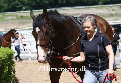 Birgitte Voetmann. Foto: Horseracing.dk