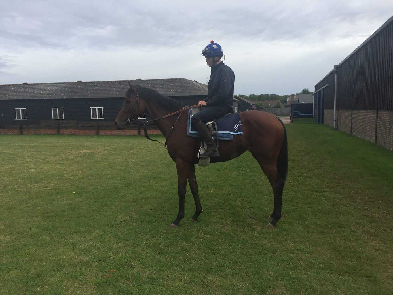 Lucas Olsen på ryggen af en 2-årig hoppe efter Dubawi. Foto: Dean P. Olsen / Privat.