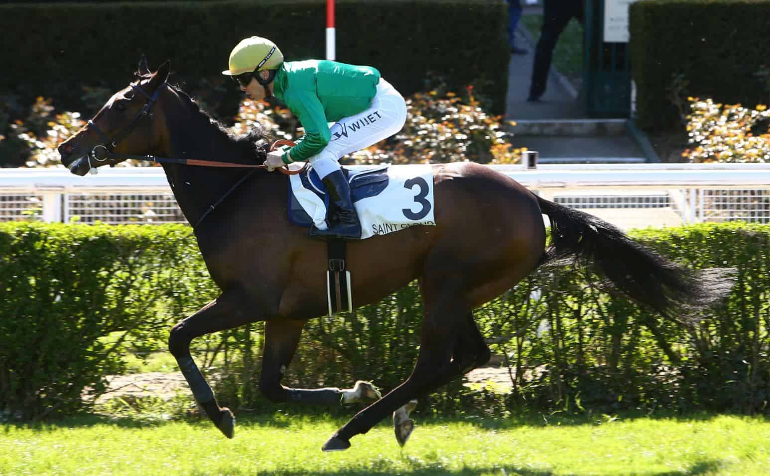 Camprock. Foto: France Galop.