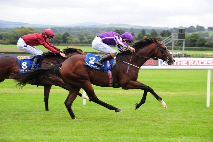 Courage Under Fire vinder i Irland for Donnacha O'Brien og Coolmore-teamet. Foto: Horse Racing Ireland.