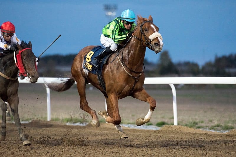 Per-Anders Gråberg på vej mod sin tredje dagssejr på ryggen af Taaiqoon. Foto: Svensk Galopp.