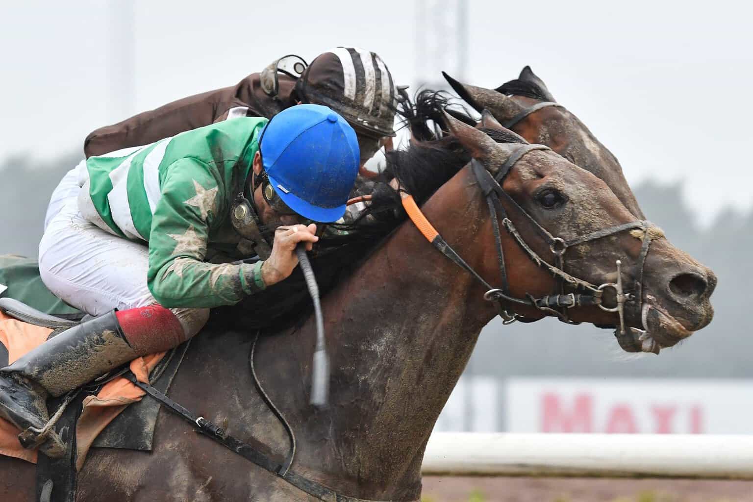 Suspicious Mind/Elione Chaves besejrer Be My Academy/Alessandro Guerrini. Foto: Stefan Olsson / Svensk Galopp.