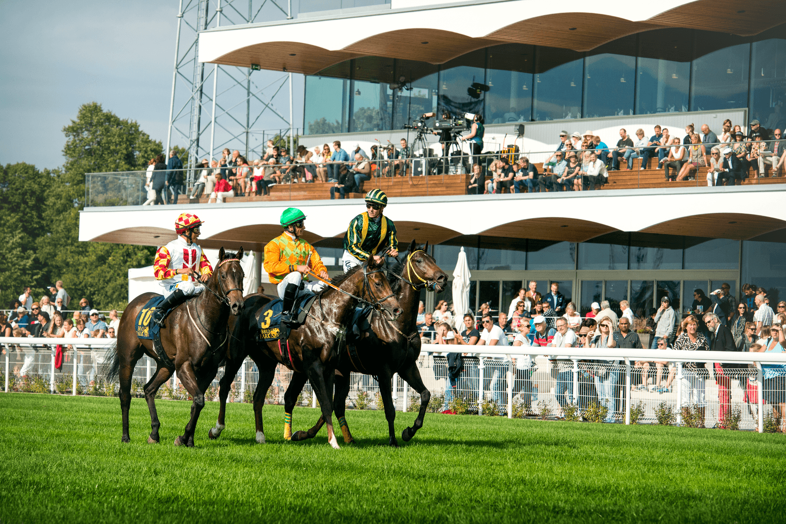 Foto: Elina Björklund / Svensk Galopp.