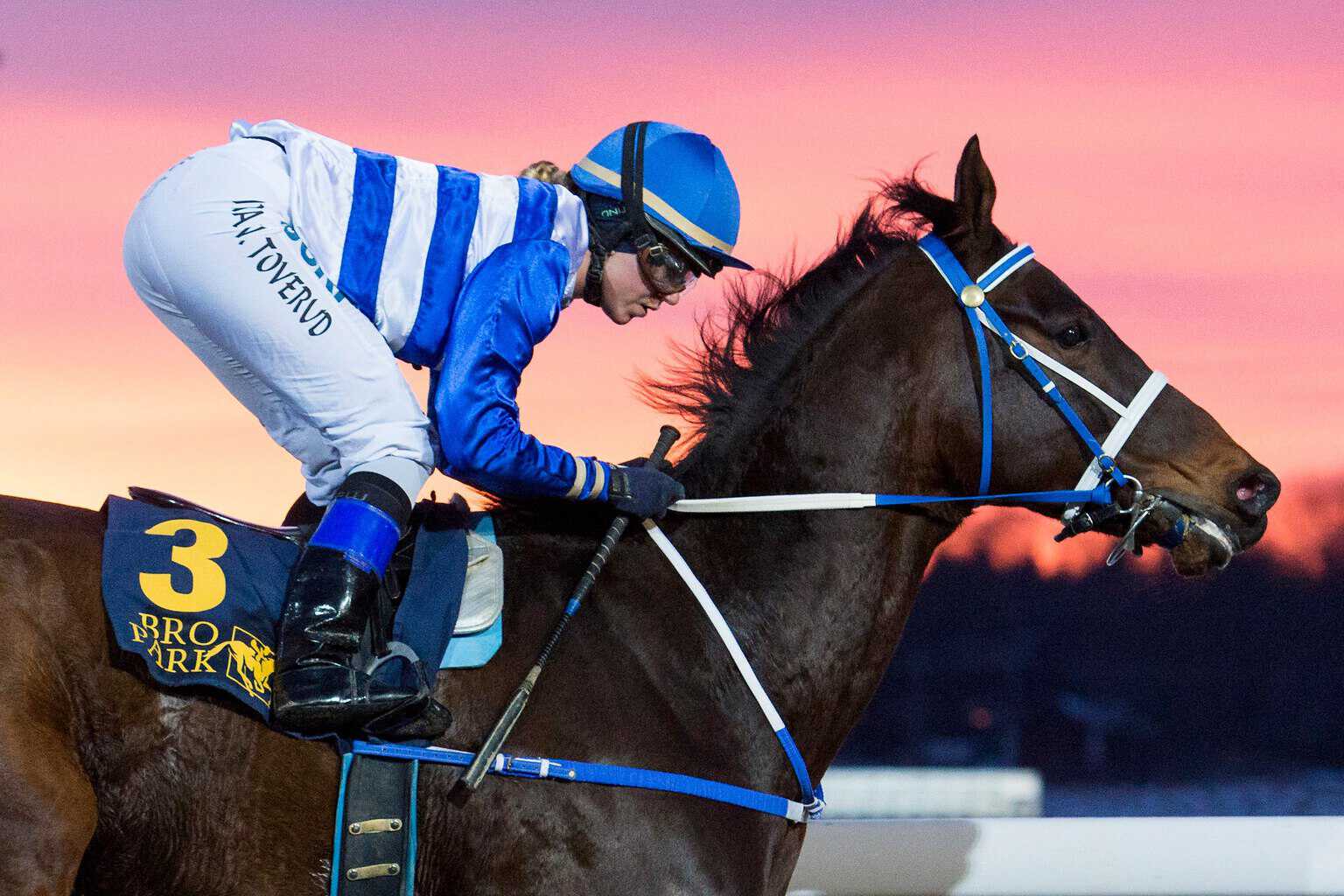 Foto: Elina Björklund / Svensk Galopp.