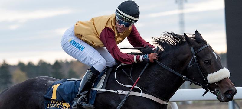 Foto: Elina Björklund / Svensk Galopp.