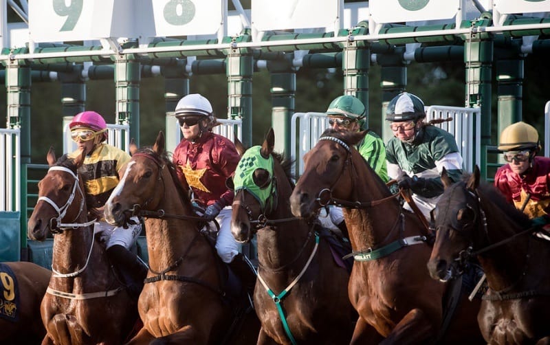 Foto: Elina Björklund / Svensk Galopp.