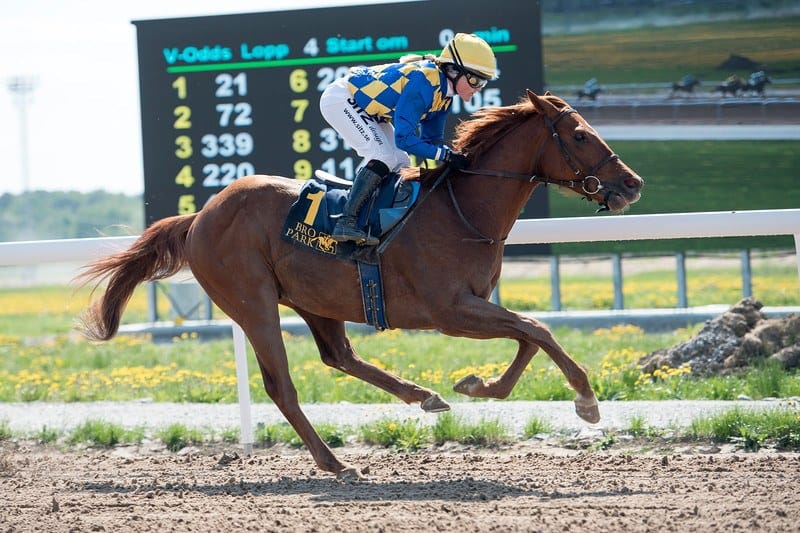 Moon Idol og Josefin Landgren. Foto: Elina Björklund / Svensk Galopp.