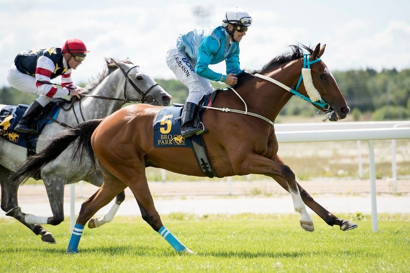 Mr Suarez og Shane Karlsson vinder Kapps Stora Pris foran Efesos/Oliver Wilson. Foto: Elina Björklund / Svensk Galopp.