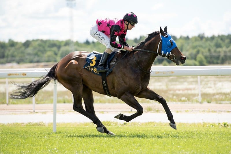 Jacob Johansen vinder med Lars Kelp-trænede Varlo. Foto: Elina Björklund / Svensk Galopp.