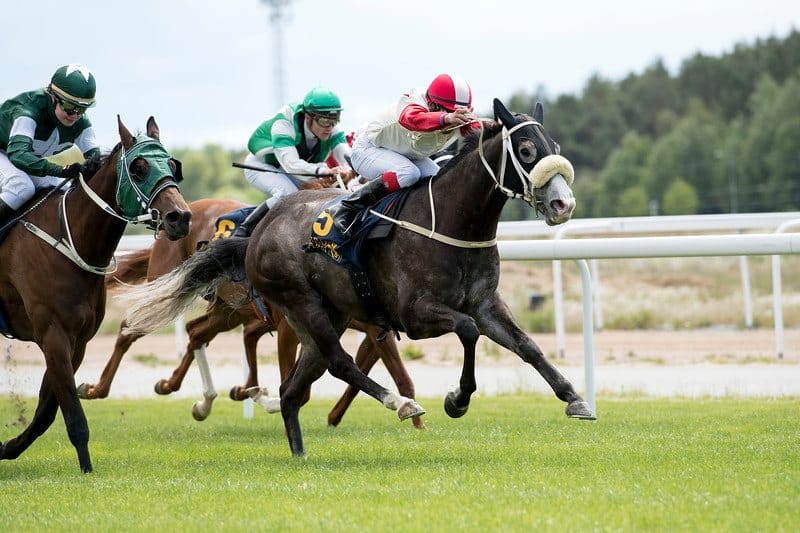 Carlos Lopez vinder med Hamba Kashe. Den ene af rytterens to dagssejre. Foto: Elina Björklund / Svensk Galopp.