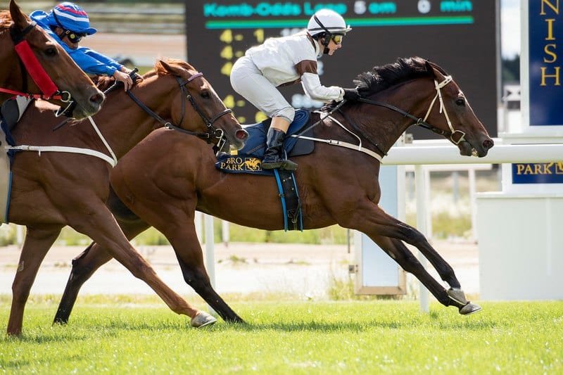 Fort Bastion/Rebecca Colldin vinder Guldhandicap foran Prime Red/Carlos Lopez. Foto: Elina Björklund / Svensk Galopp.