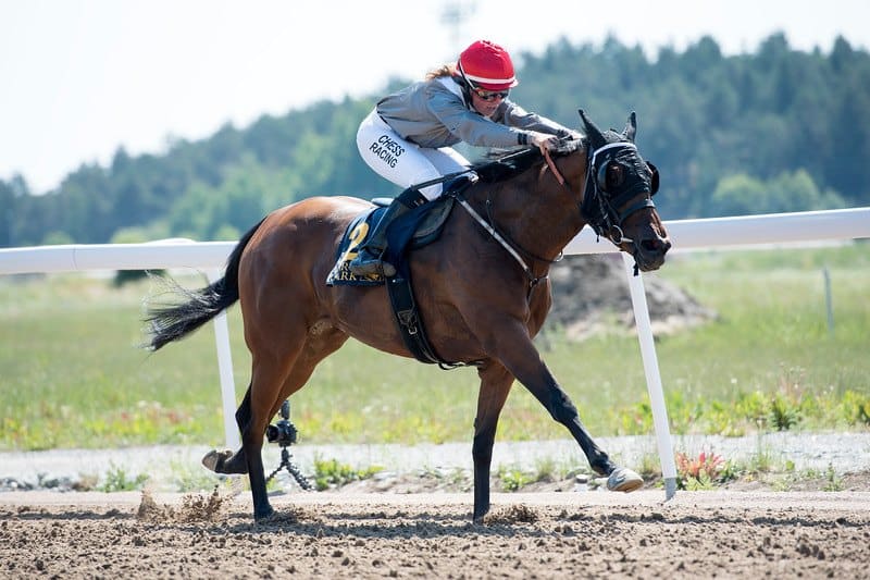 Make Country vinder for Jessica Wadst. Foto: Elina Björklund / Svensk Galopp.