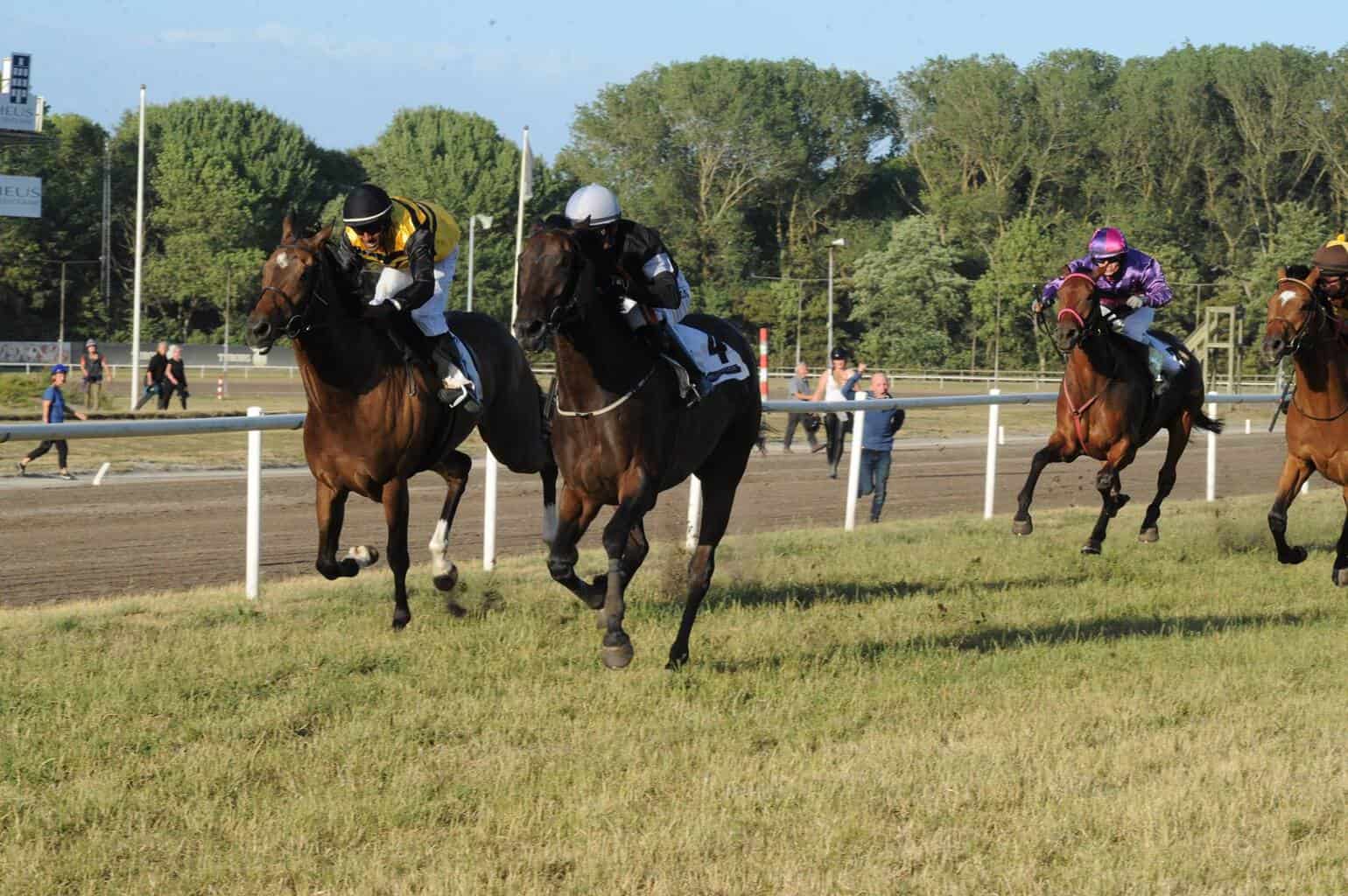 Medicean Melody/Per-Anders Gråberg slår King Charles/Nadeem Subrottee i Kahyl Ærespræmie. Foto: Ole Hindby.