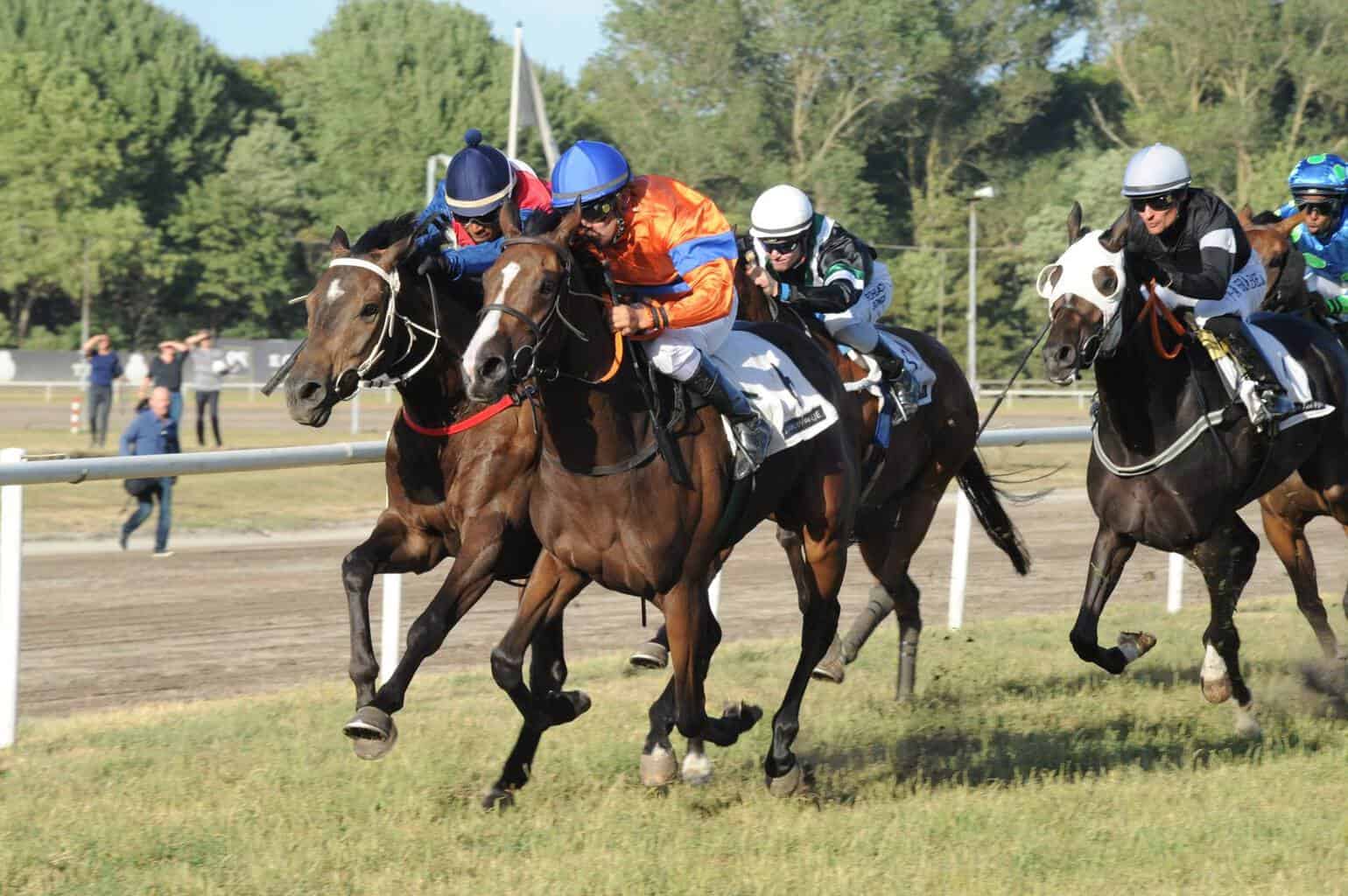 Marcos Robaldo vinder med debuterende See Me Fly. Foto: Ole Hindby.