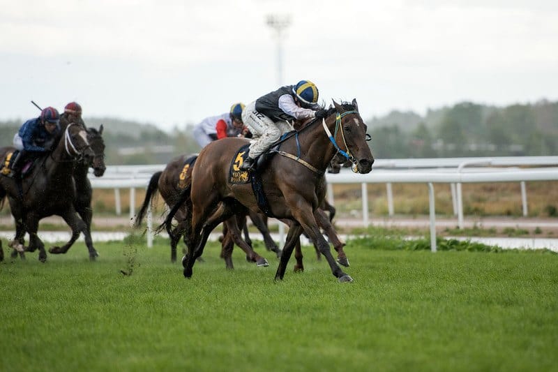 Josefin Landgren vinder sidste afdeling på ryggen af Castillo. Foto: Elina Björklund / Svensk Galopp.