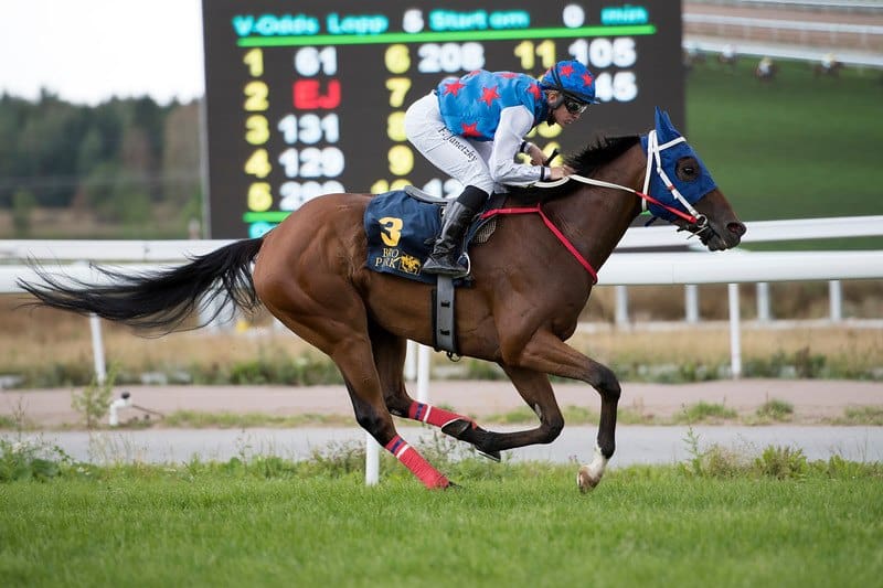 Double East og Fredrik Janetzky. Foto: Elina Björklund / Svensk Galopp.