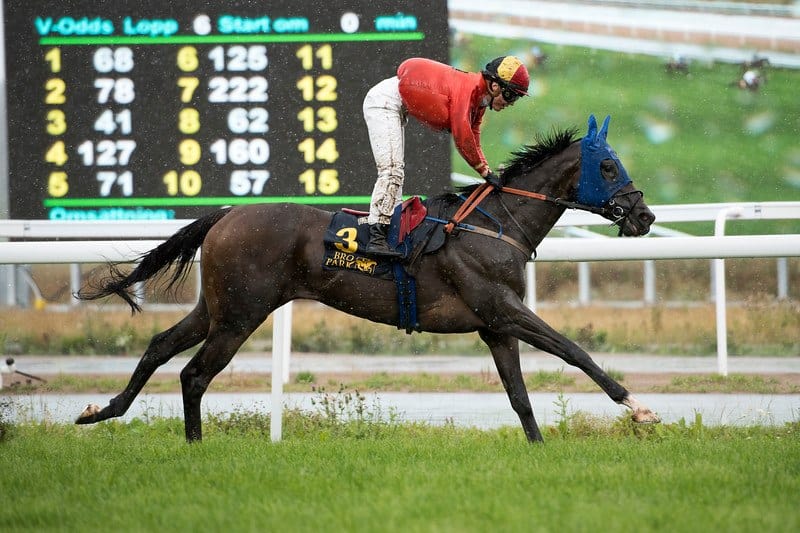 Sara Vermeersch sejrer på ryggen af Sublissimo. Foto: Elina Björklund / Svensk Galopp.