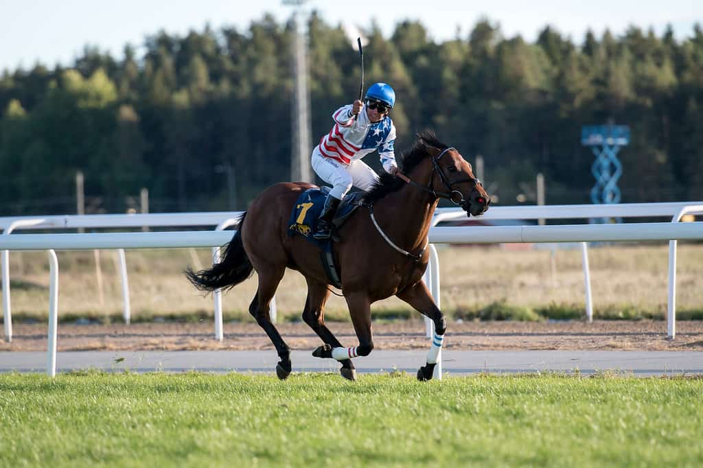 Ambiance og Rafael de Oliveira vinder Bro Park Sprint Championship (L). Foto: Elina Björklund / Svensk Galopp.