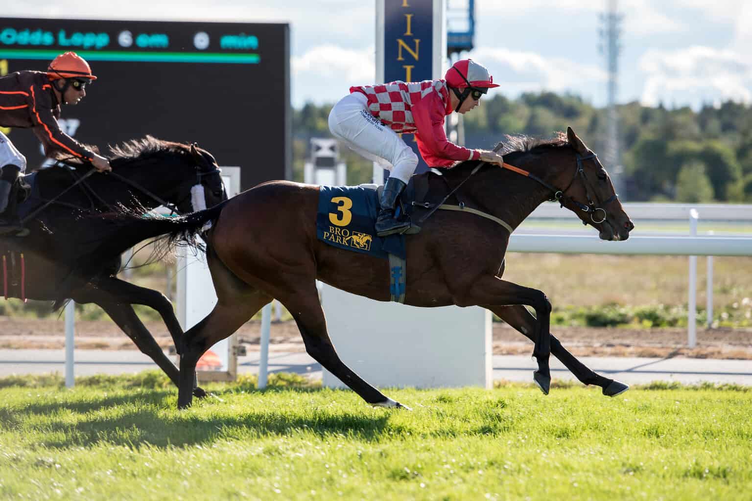 High As A Kite og Rafael Schistl sejrer i Lanwades Stud Stakes (L). Foto: Elina Björklund / Svensk Galopp.