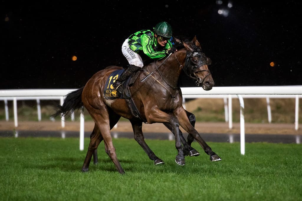 Liiqing Hil/Per-Anders Gråberg vinder Breeders' Trophy Classic Consolation. Foto: Elina Björklund / Svensk Galopp.