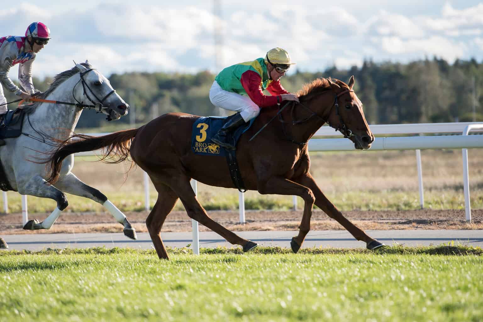 Summershine/Oliver Wilson slår Eye In The Sky/Rafael Schistl. Foto: Elina Björklund / Svensk Galopp.