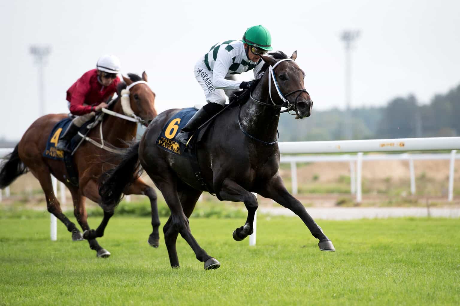 We Got The Boss (Per-Anders Gråberg) aflægger maidentitlen i første forsøg. Foto: Elina Björklund / Svensk Galopp.