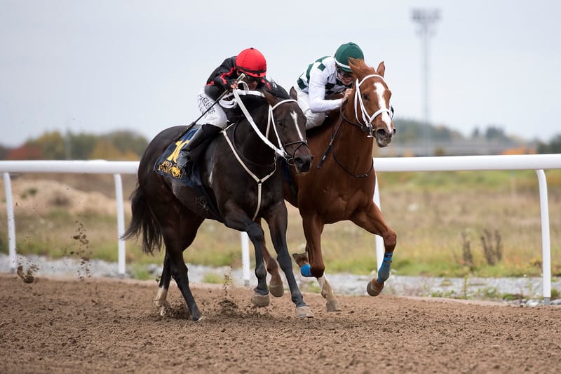 2-årige Filia Kalejs (Footstepsinthesand) slår Semiramis (Camacho). Foto: Elina Björklund / Svensk Galopp.