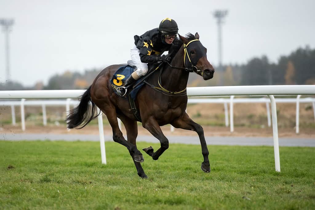 For The Roses/Nathalie Mortensen. Foto: Elina Björklund / Svensk Galopp.