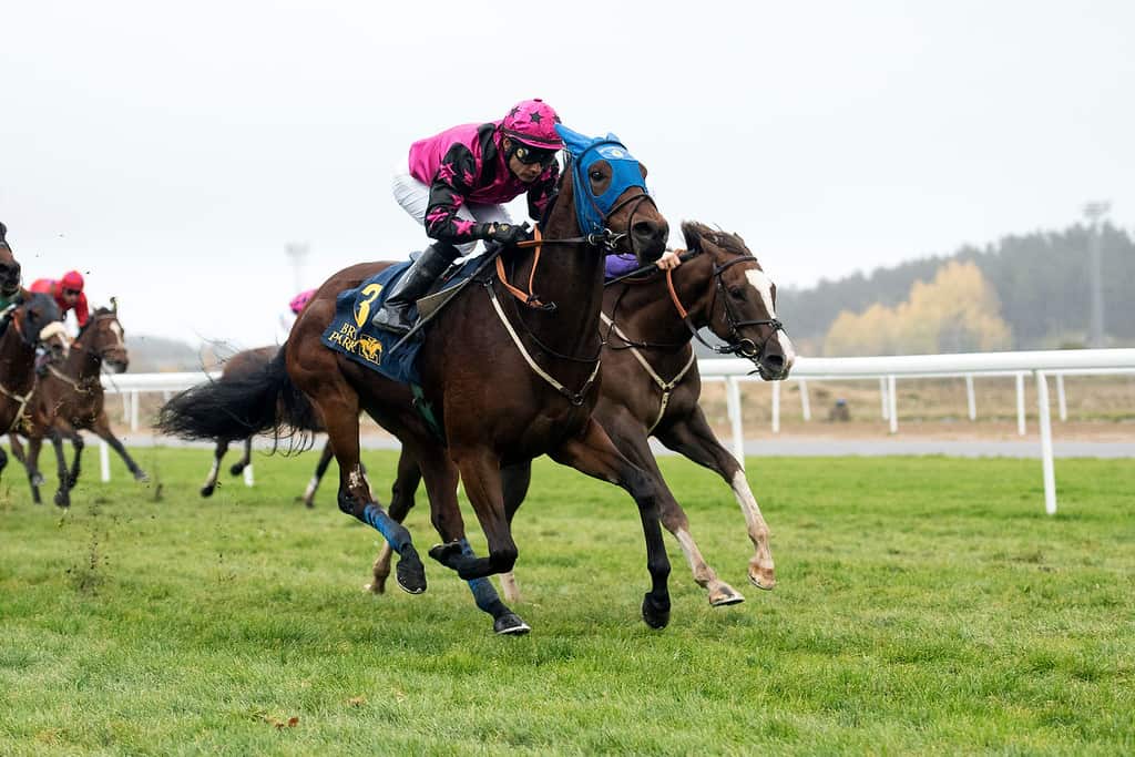 Sara Smile/Carlos Lopez. Foto: Elina Björklund / Svensk Galopp.