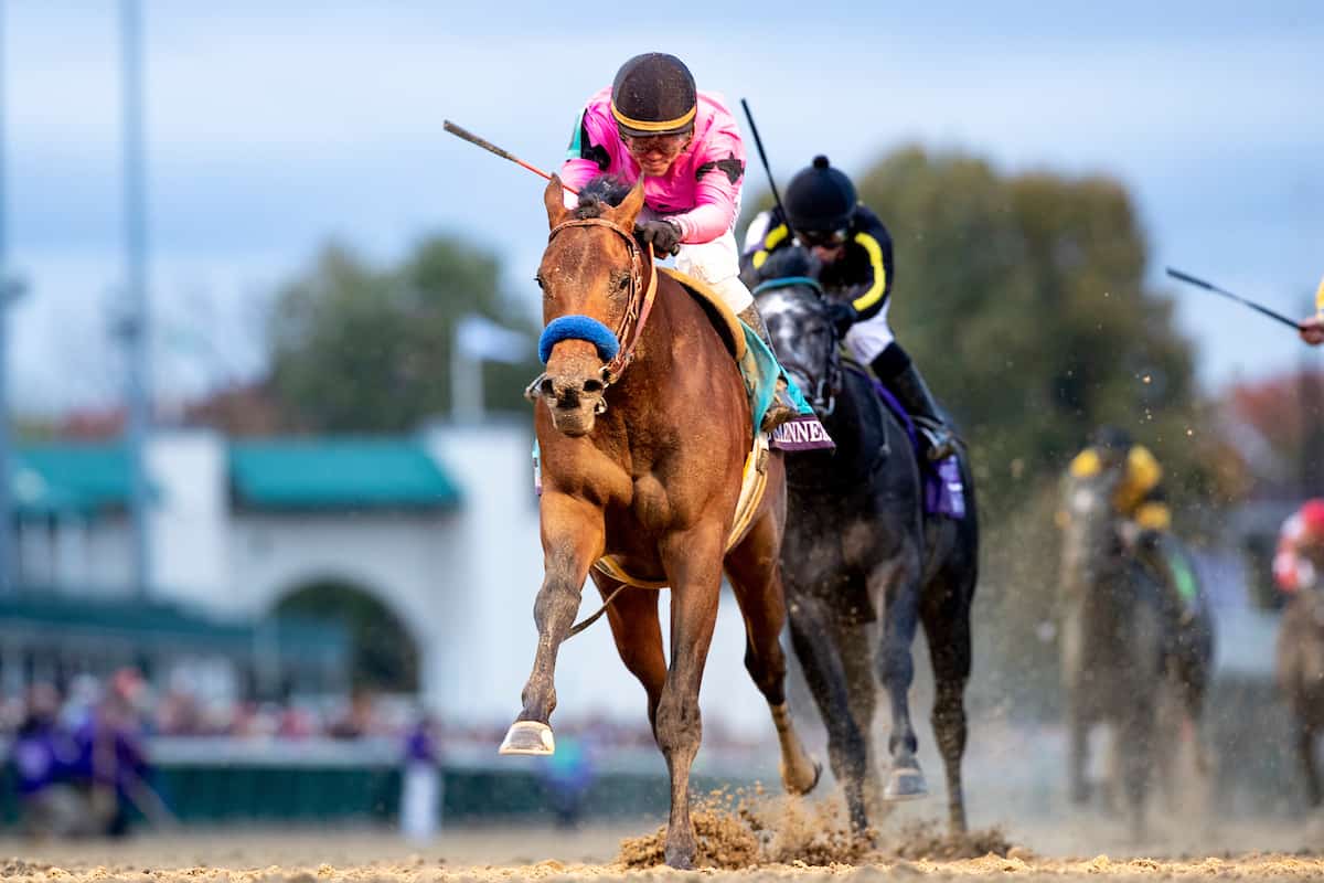 Game Winner sørger for sejr til Bob Baffert og Joel Rosario i Breeders' Cup Juvenile. Foto: Alex Evers/Eclipse Sportswire/CSM