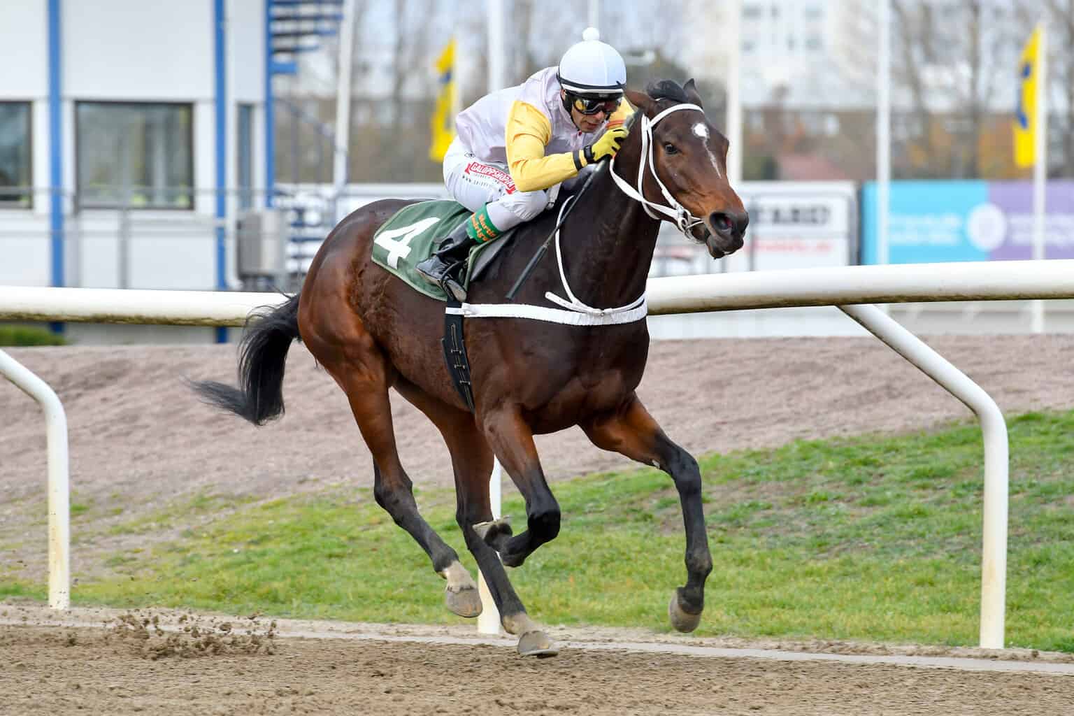 Marta og Martin Rodriguez vinder Jockeyklubbens Avelslöpning. Foto: Stefan Olsson / Svensk Galopp.