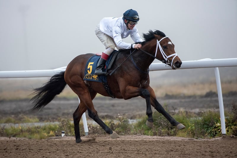 Noosa Prince og Shane Karlsson på vej mod sejren. Foto: Elina Björklund / Svensk Galopp.