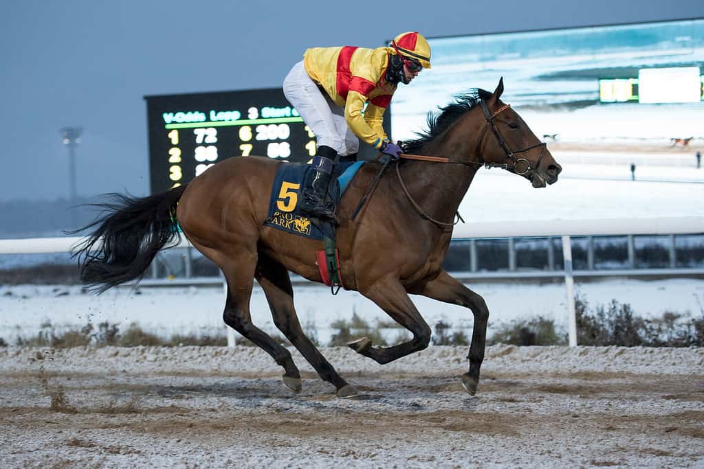 Alchemist og Andreas Tapia Dalbark. Foto: Elina Björklund / Svensk Galopp.