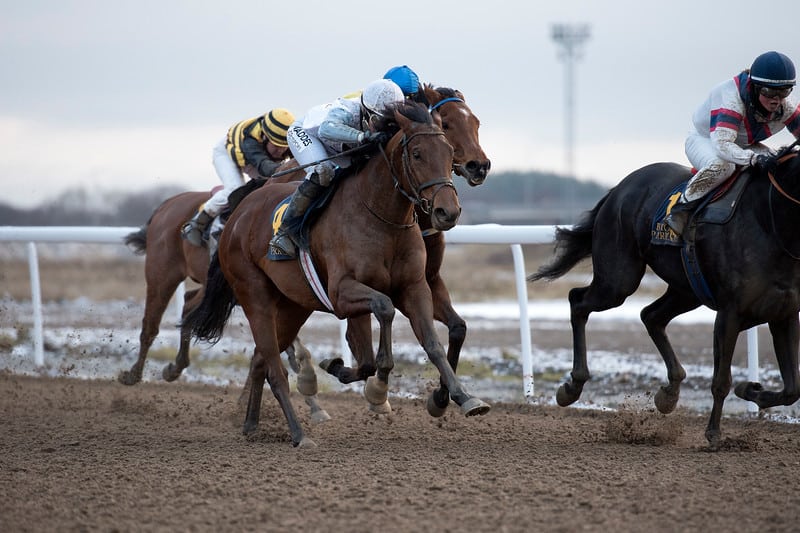 Good Lad vinner med Tina Henriksson. Foto: Elina Björklund / Svensk Galopp