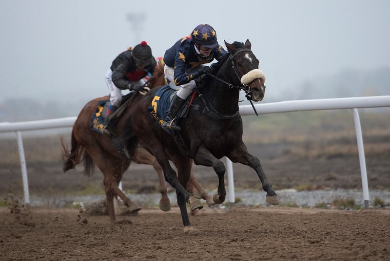 Il Passo vinner med Melissa Juneskans. Foto: Elina Björklund / Svensk Galopp