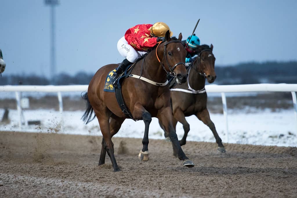 Space Dragon/Fredrik Janetzky. Foto: Elina Björklund / Svensk Galopp.