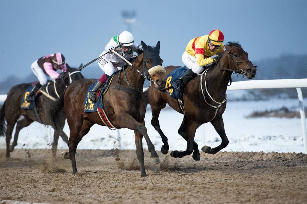 Wajih/Fabienne De Geer. Foto: Elina Björklund / Svensk Galopp.