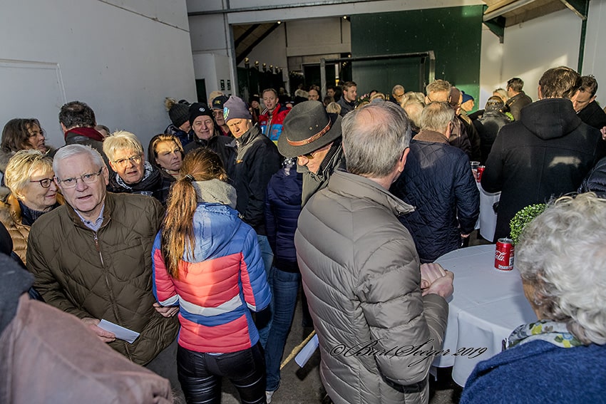 Der var stort fremmøde til York Stutteris hingstefremvisning. Foto: Burt Seeger.