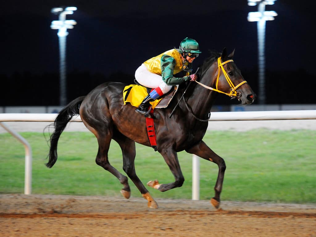 Silja Støren vinner med Razello på Jägersro. Foto: Stefan Olsson / Svensk Galopp